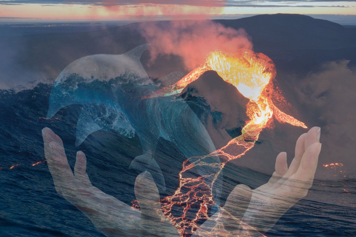  Czy jesteś gotowy na masaż Lomi Lomi? 